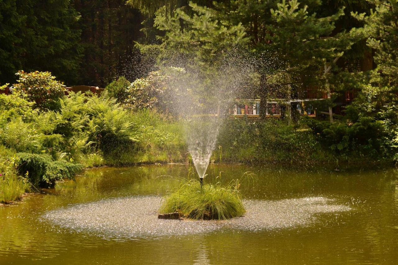 Zadrna Rezydencja Aparthotel Chełmsko Śląskie Buitenkant foto